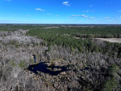 Large Farm and Timber Tract : Fairmont : Robeson County : North Carolina