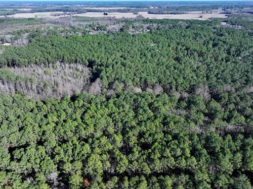 Residential and Timberland for Sale : Fairmont : Robeson County : North Carolina
