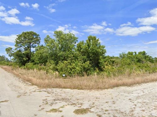 Quiet, Corner Lot, Owner Financing : Lake Placid : Highlands County : Florida