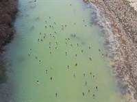 L'anguille River 162 : Wynne : Cross County : Arkansas