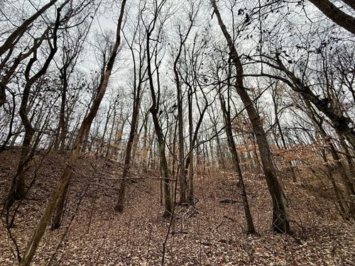 Crowley's Ridge Farm, 80 : Widener : Saint Francis County : Arkansas