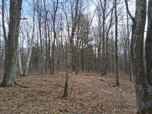 Land Near Namekagon River : Trego : Washburn County : Wisconsin