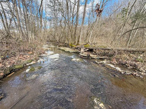 57 Acres Normandy, Tn, Bedford Co : Normandy : Bedford County : Tennessee