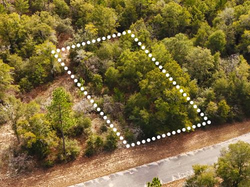 No HOA, Quiet Land, Owner Financing : Chipley : Washington County : Florida