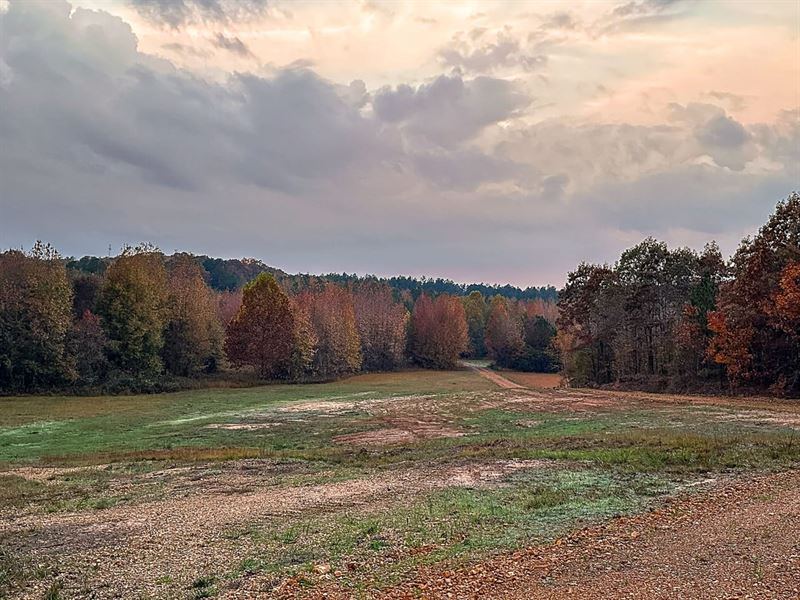 Hines Gin Retreat : Selmer : McNairy County : Tennessee