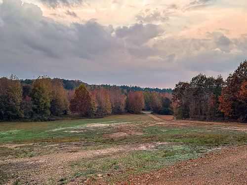 Hines Gin Retreat : Selmer : McNairy County : Tennessee