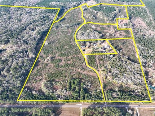 62 Acres, T-2, Tall Cotton Rd, 0 : Saratoga : Hardin County : Texas