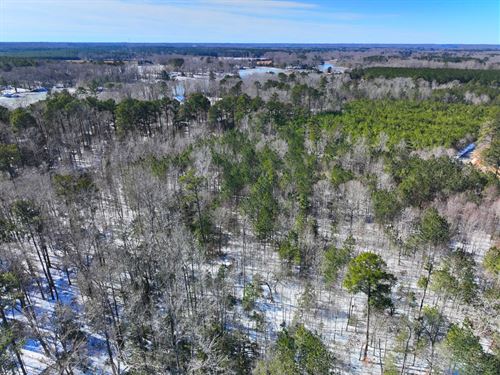 Waterfront, More Than 18 Acres : Montross : Westmoreland County : Virginia