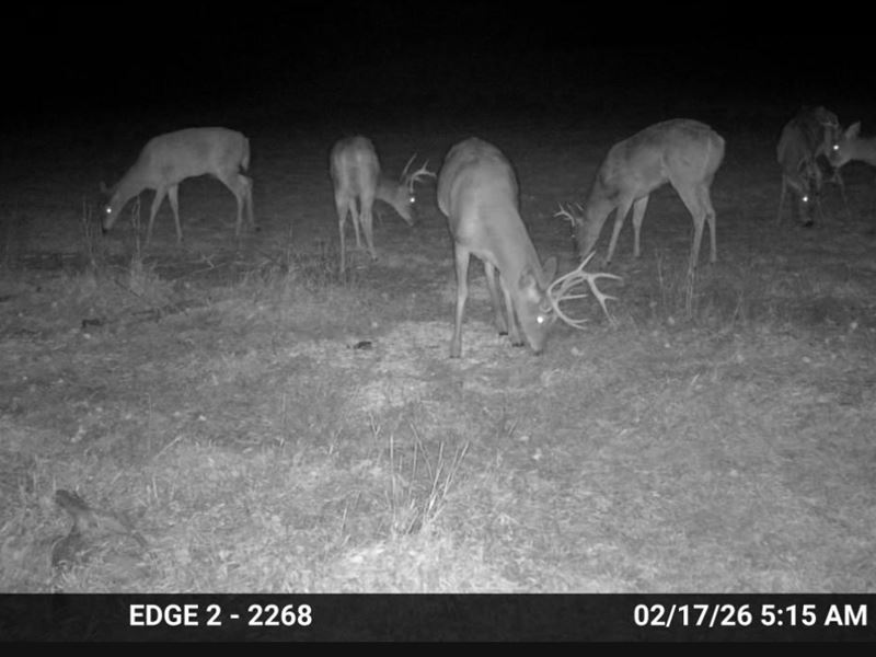 Beaver Creek Bottomground : Herndon : Decatur County : Kansas
