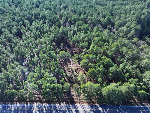 Lot 3 Secluded Residential Lot : Fairmont : Robeson County : North Carolina