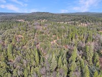 10 Acre Sierra Foothills Parcel in : Garden Valley : El Dorado County : California