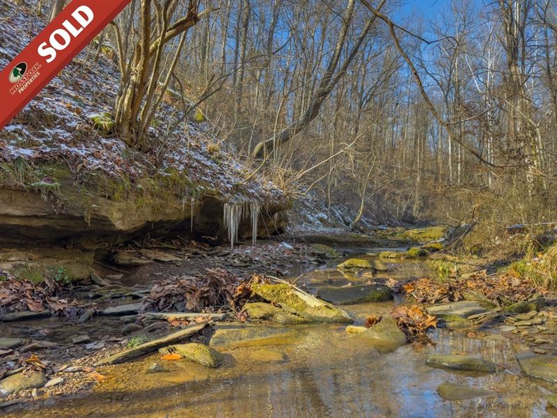 Null Rd, 78 Acres : Coolville : Athens County : Ohio
