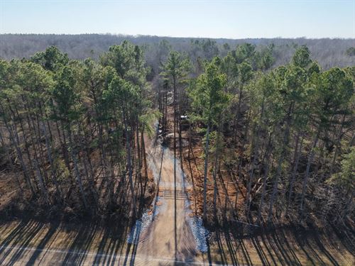 79.66 Acres in Hardeman County, TN : Bolivar : Hardeman County : Tennessee