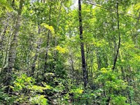 Rabun Co. Mountain Land with Views : Rabun Gap : Rabun County : Georgia