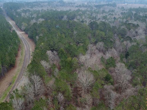 Nice Hunting/Timber Tract : Georgiana : Butler County : Alabama