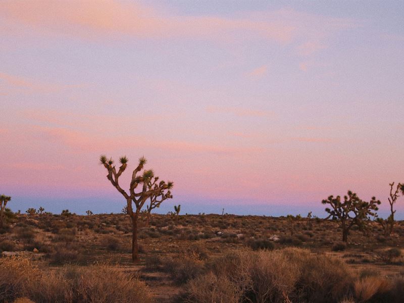 No Restrictions Near Albuquerque : Casa Colorada : Socorro County : New Mexico
