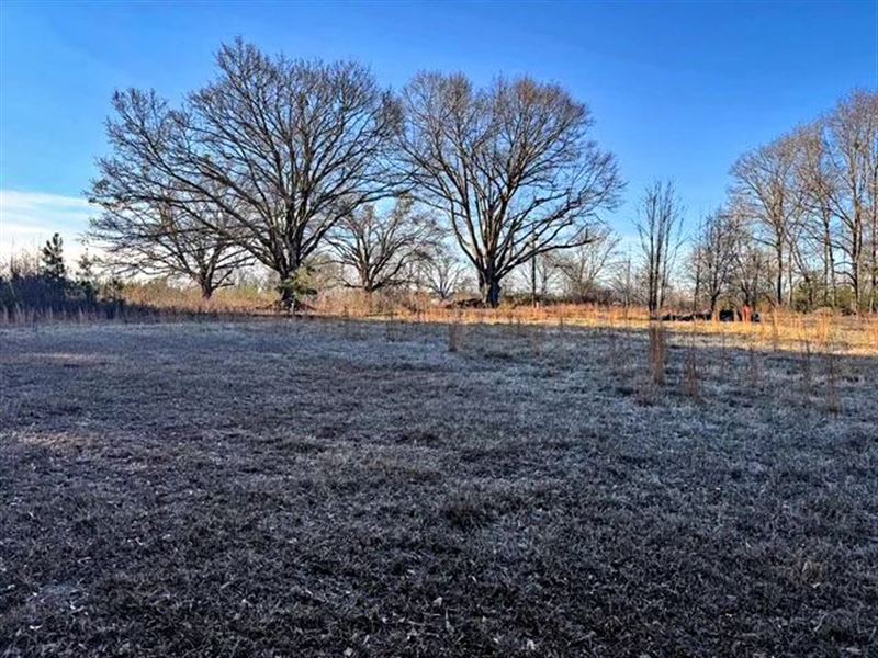 3.50 Acres on Dewberry Road, Spa : Spartanburg : Spartanburg County : South Carolina