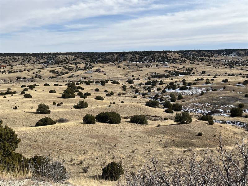 Hatchet Ranch Fulton : Pueblo : Pueblo County : Colorado