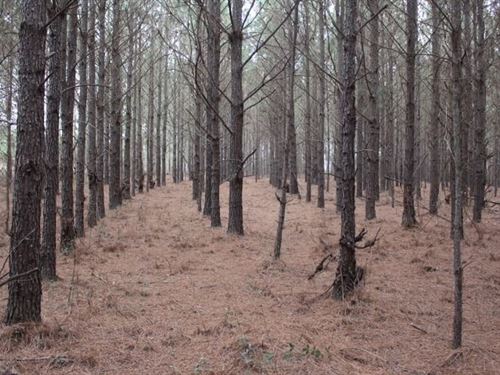 Homesite With Hunting : Chester : Laurens County : Georgia