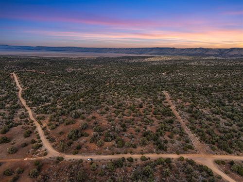 Lot Near Route 66 : Seligman : Yavapai County : Arizona