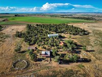 Farm for Sale in Cortez Colorado : Cortez : Montezuma County : Colorado
