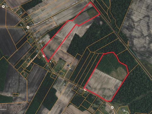 Hunting & Farm Land on Hwy 45 : Pantego : Beaufort County : North Carolina