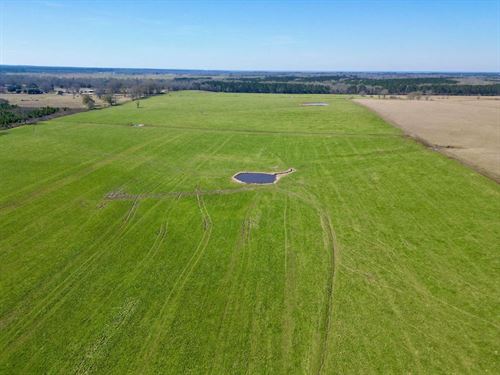 Cattle Farm For Sale in South Missi : Poplarville : Pearl River County : Mississippi