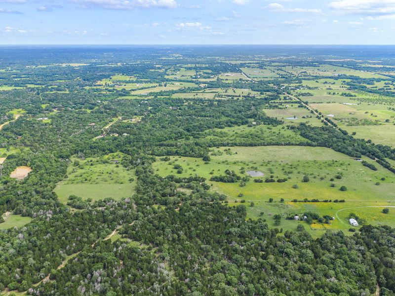 Build Your Dream in New Ulm, TX : New Ulm : Colorado County : Texas
