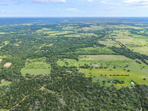 Build Your Dream in New Ulm, TX : New Ulm : Colorado County : Texas