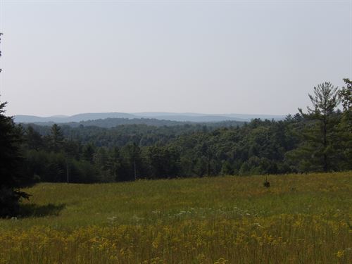 Level Mountain Views Half Cleared : Deere Lodge : Morgan County : Tennessee
