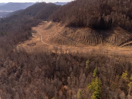 $999 Down Land, Everyone Qualifies : Livingston : Whitley County : Kentucky