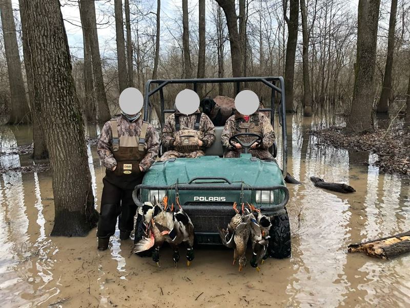 White River Bottoms Lodges and Timb : Georgetown : White County : Arkansas
