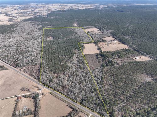 124 Acres, T-4, Highway 287, 104 : Pennington : Trinity County : Texas