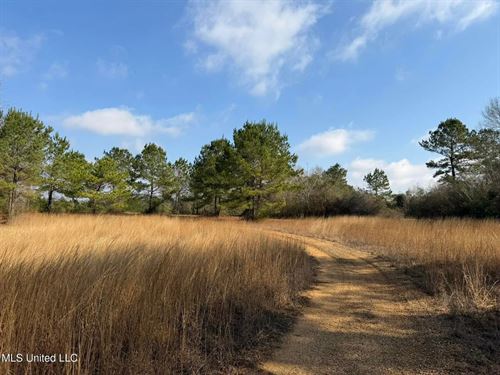 37 Acres Sandy Hook MS : Sandy Hook : Marion County : Mississippi