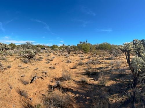 No HOA, No Neighbors, Just Desert : Tucson : Pima County : Arizona