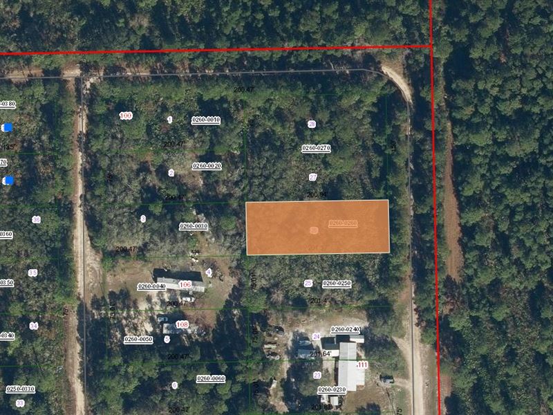 Breathtaking Palatka Land $199 Down : Palatka : Putnam County : Florida