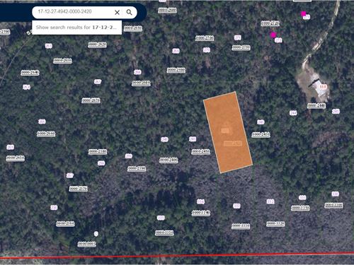 Spring Sale $99 Down Ag-Zoned Land : Pomona Park : Putnam County : Florida