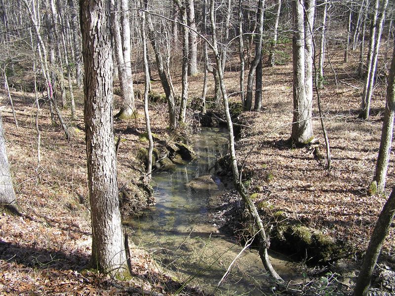 Creek, Homesite, Country, 6 Parcels : Spencer : Van Buren County : Tennessee