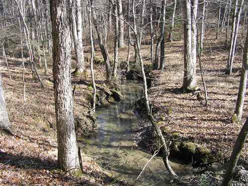 Creek, Homesite, Country, 6 Parcels : Spencer : Van Buren County : Tennessee