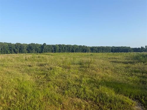 40 Acres in Lincoln County, AR : Star City : Lincoln County : Arkansas