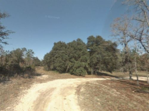 3.83 Acres in Williston Florida : Williston : Levy County : Florida
