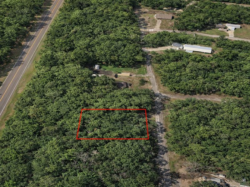 .19 Acre Near Trinity River, Pave : Trinity : Trinity County : Texas