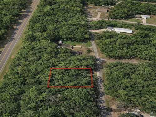.19 Acre Near Trinity River, Pave : Trinity : Texas