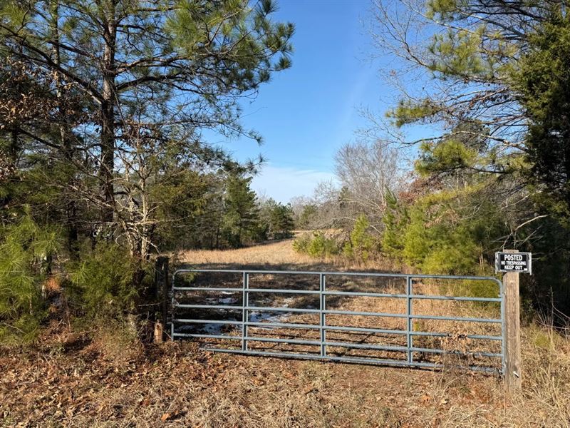 44.54 Acres in Hardeman County, TN : Toone : Hardeman County : Tennessee