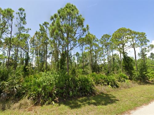 Love in Spring Sale, $149 Down : Punta Gorda : Charlotte County : Florida