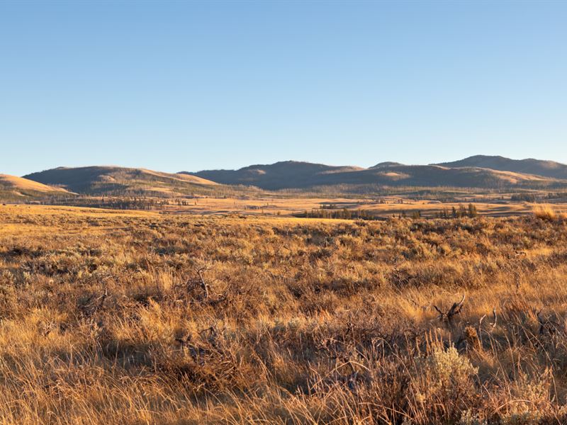 Live Next to 5 Mile Canyon : Snowflake : Navajo County : Arizona