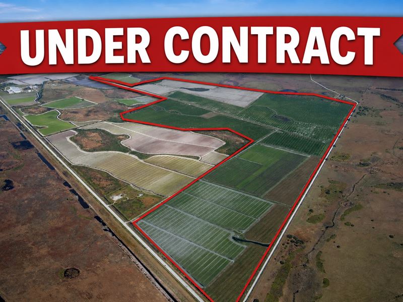 742.87 Acres Osceola County, FL : Okeechobee : Osceola County : Florida
