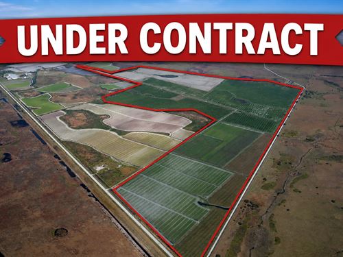 742.87 Acres Osceola County, FL : Okeechobee : Osceola County : Florida