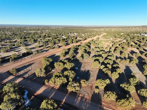 Corner Lot for Fun & Adventure : Show Low : Navajo County : Arizona