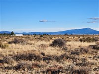 Level Lot with Legal Road Access : Chiloquin : Klamath County : Oregon